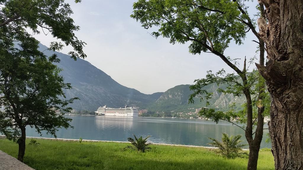 Fiumera Kotor Apartment الغرفة الصورة